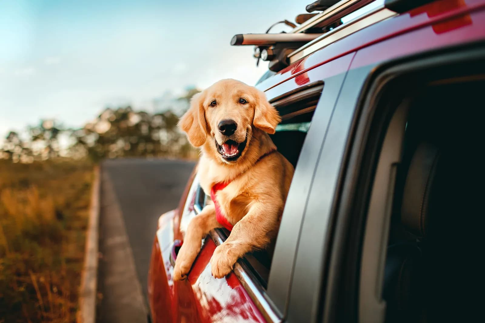 Adventures
