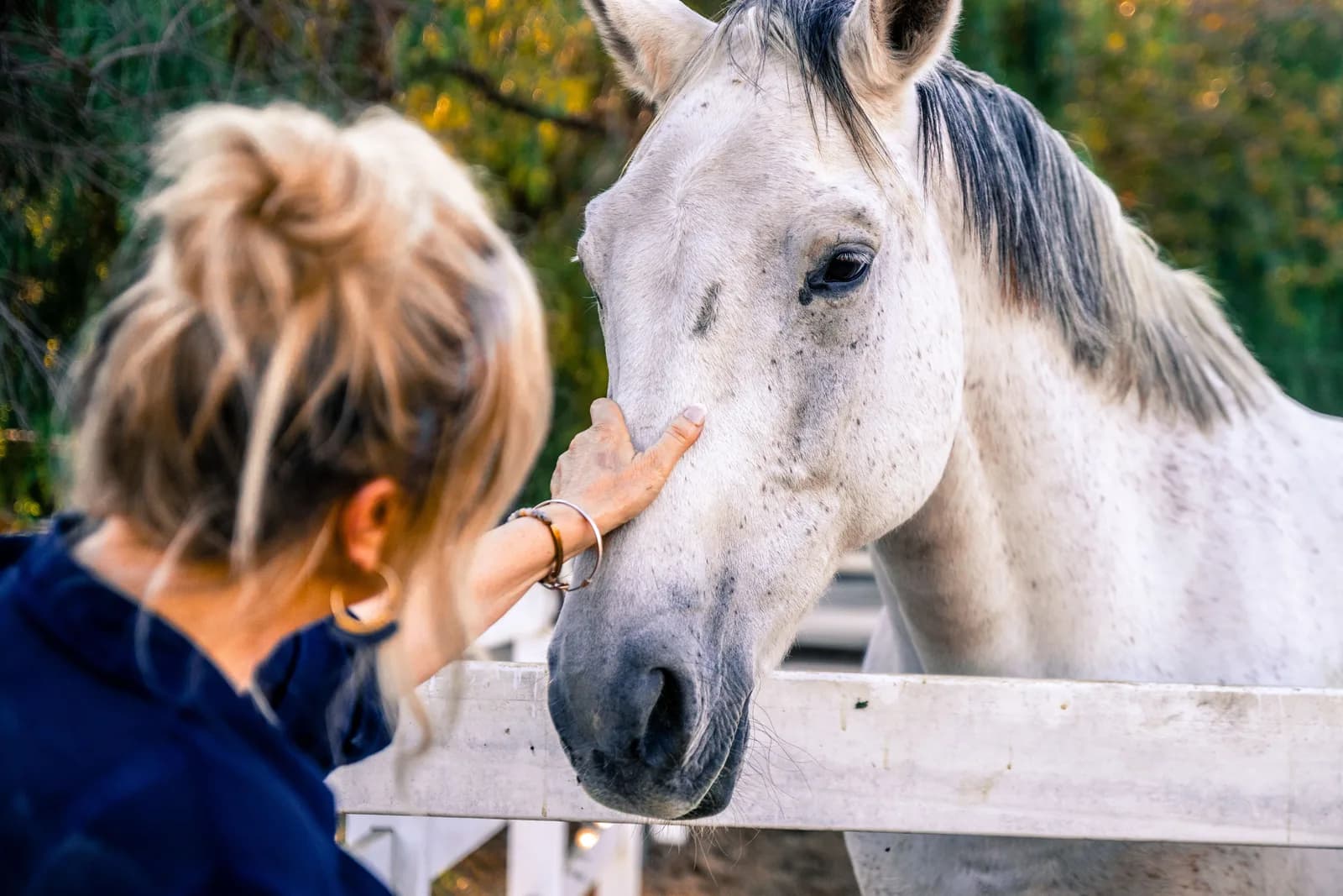 Horse Care